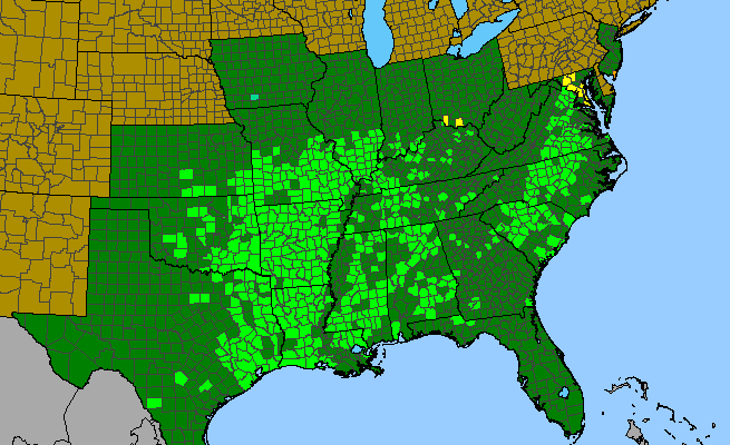 The range of Krigia dandelion